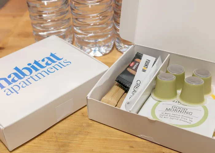 巴塞罗那阳台居住公寓 *